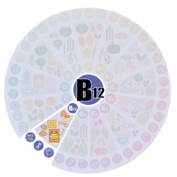 Vitamin B12